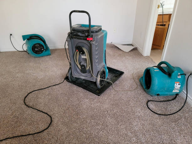 Best Water damage restoration near me  in Tahoe Vista, CA
