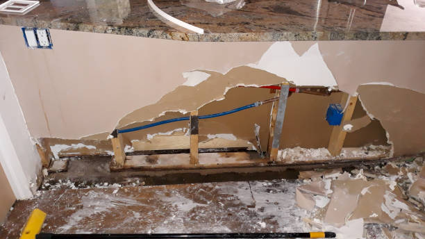 Best Local water damage restoration  in Tahoe Vista, CA