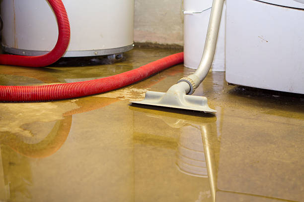 Water damage restoration insurance claims in Tahoe Vista, CA