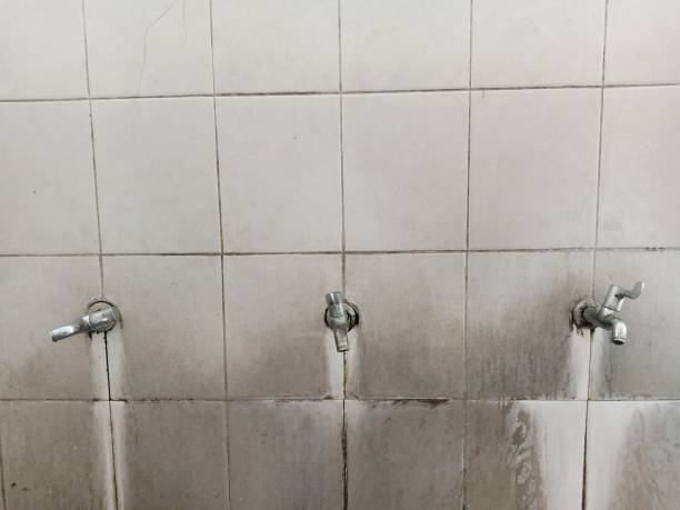 Best Water damage cleanup near me  in Tahoe Vista, CA