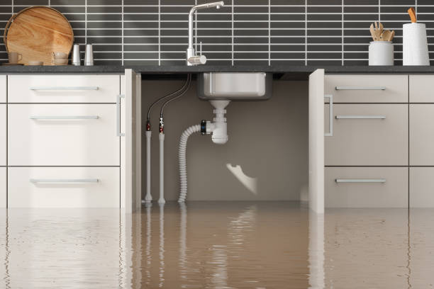 Best Flood damage cleanup  in Tahoe Vista, CA
